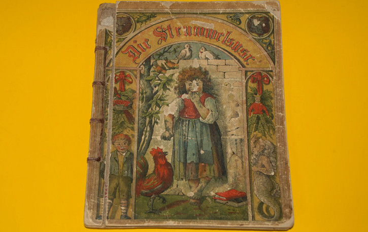 antikes Kinderbuch " Die Struwwelsuse" um 1880