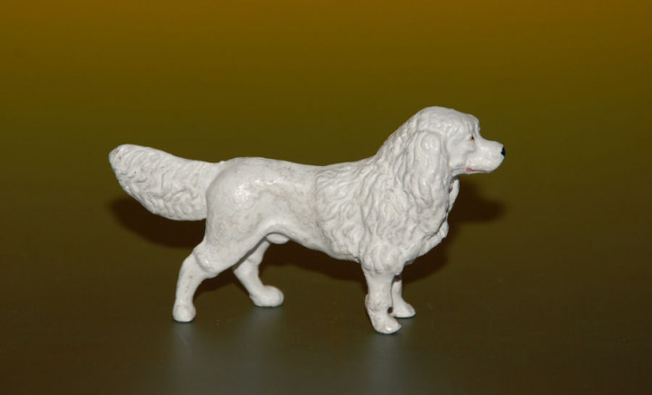 age composition doll house dog of white king poodles