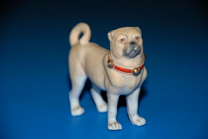 antique doll house dog * pug with collar * at 1860-1880