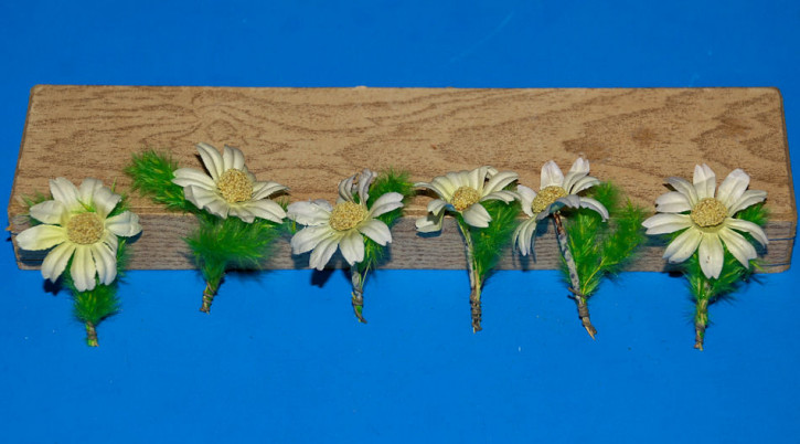 6 x antike Miniatur Puppenstuben Blumen * um 1900-1920 (10)