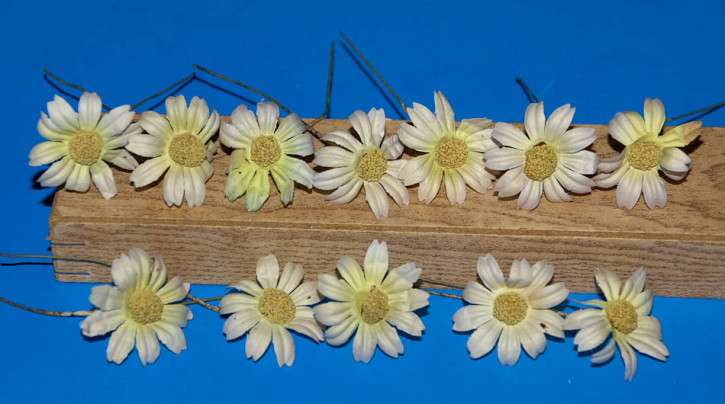 12 x antike Miniatur Puppenstuben Blumen * um 1900-1920 (12)