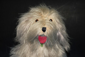 antiker großer Bobtail Hund Made in England * 20er-30er Jahre