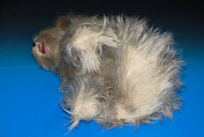 antiker großer Bobtail Hund Made in England * 20er-30er Jahre