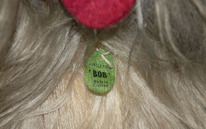 antiker großer Bobtail Hund Made in England * 20er-30er Jahre