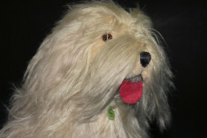 antiker großer Bobtail Hund Made in England * 20er-30er Jahre