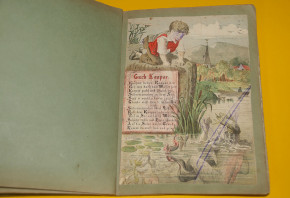 antikes Kinderbuch " Die Struwwelsuse" um 1880