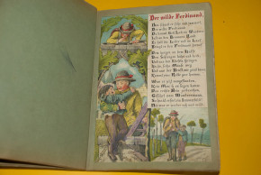 antikes Kinderbuch " Die Struwwelsuse" um 1880