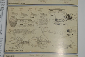 Issmayer 11 magnetische Schwimm Gegenstände * Schiffe & Tiere im O.K. * um 1860