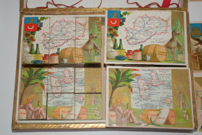 antique Puzzle * Geographical study of France & Colonies * at 1870/1880