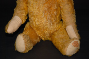 Schreyer & Co. Schuco Tricky Teddy with yes / no mechanism * gold-yellow mohair * height 21.7 inch