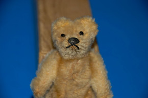 STEIFF of little miniature teddy bear * button eyes 8.5 cm * fif