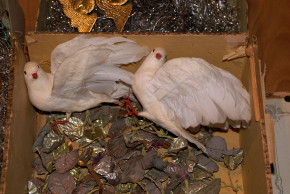 Christmas ornaments from cotton wool, cardboard & metal at 1900