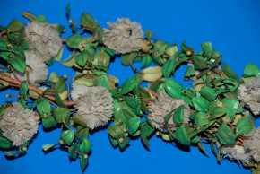 3 antique flower garlands for doll house Pavillion * at 1900