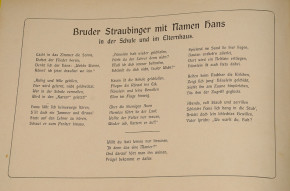 Children book * brother Straubing * Lothar Meggendorfer * 1910